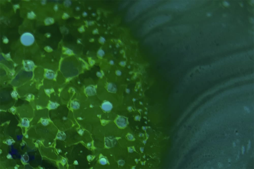 Radiohead 推出落選占士邦主題曲 "Spectre"