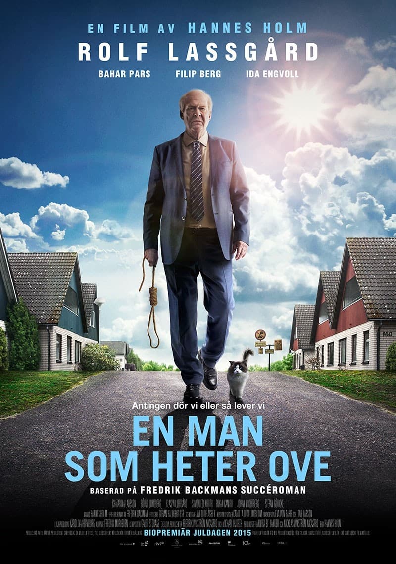 Sweden Poster