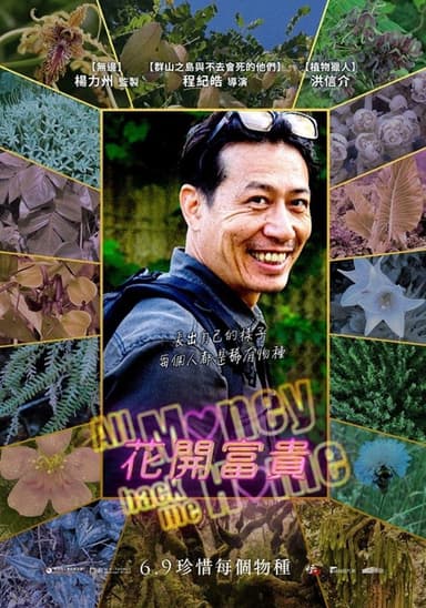 All Money Back Me Home