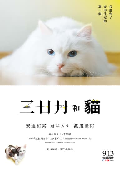 三日月和貓