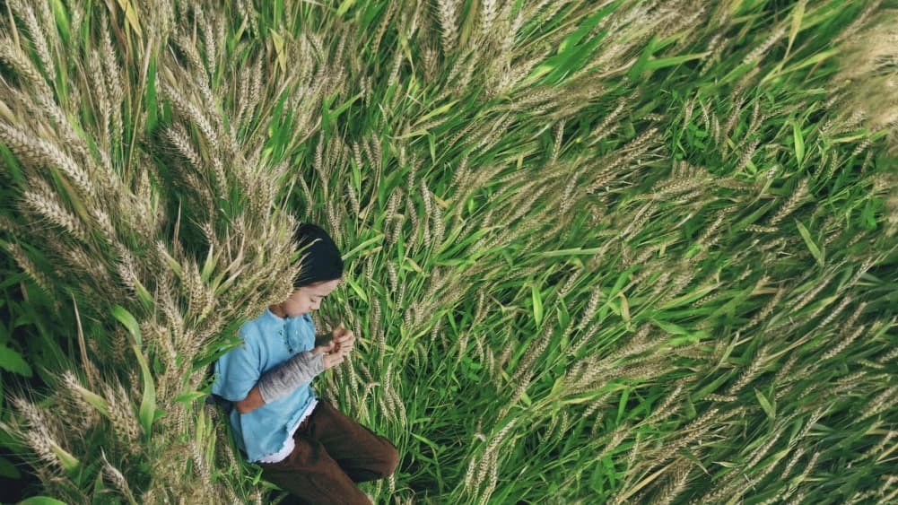 你的眼睛比太陽明亮