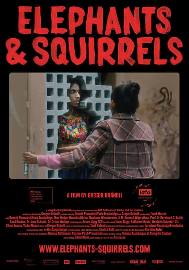 Elephants & Squirrels