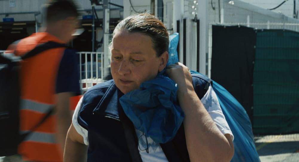 I Understand Your Displeasure